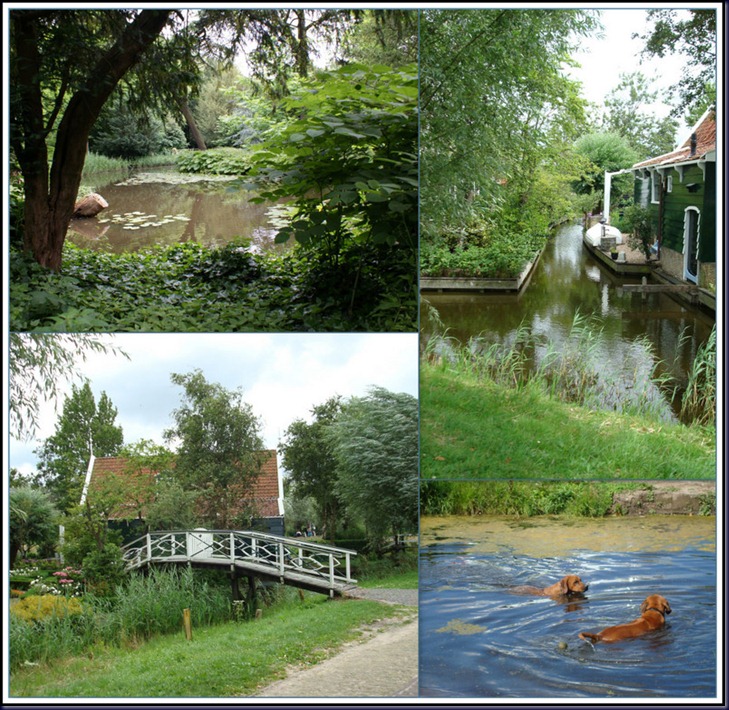 2010-07-31 2010-07-31