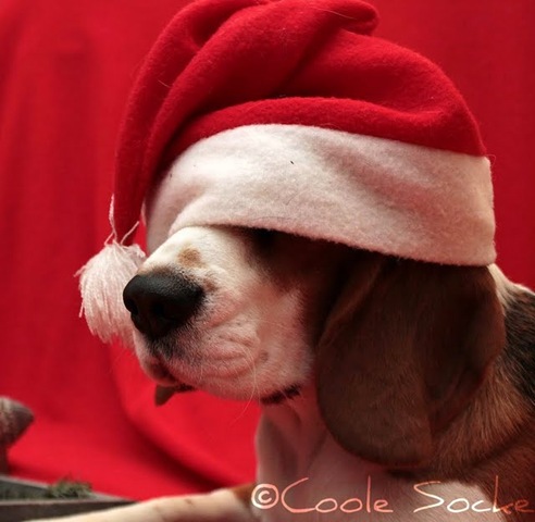 [IMG_8147%255B5%255D.jpg]
