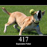 417.jpg 417.jpg