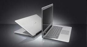 acer acer