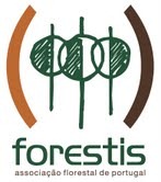 [concurso%255B4%255D.jpg]