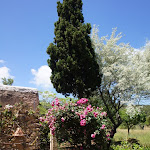 DSC00989.JPG