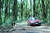 Repórter encontra car...