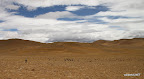 Shepherd and herd on the altiplano