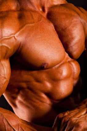 closeup of muscular man body