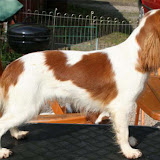 Izzie