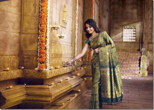 Trisha_Traditional_Saree (8)