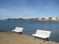 IMG_2876 IMG_2876