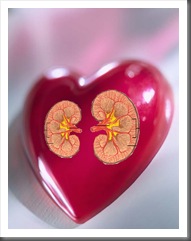 haveaheart haveaheart