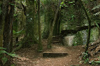 Rock formations near Waitomo Caves