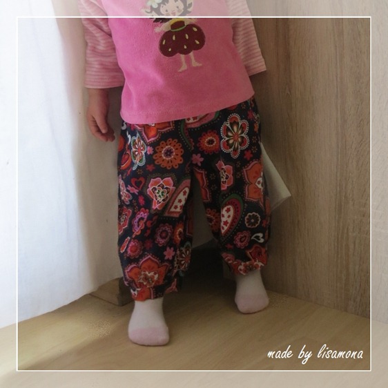 IMG_2782 IMG_2782