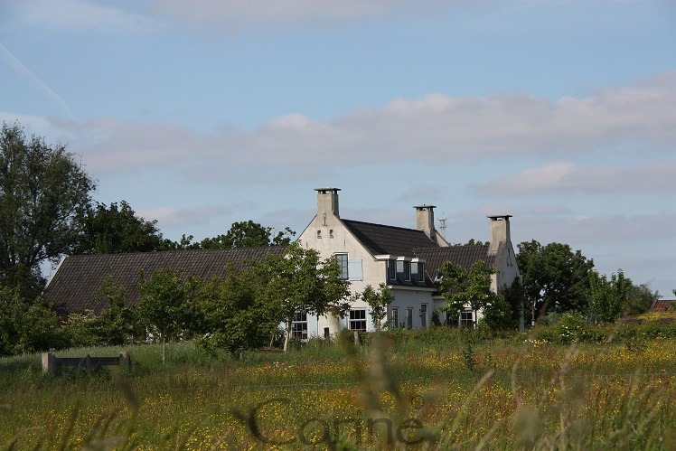 [droomhuis%255B3%255D.jpg]