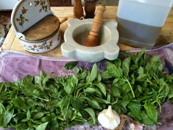 pesto setup.jpg