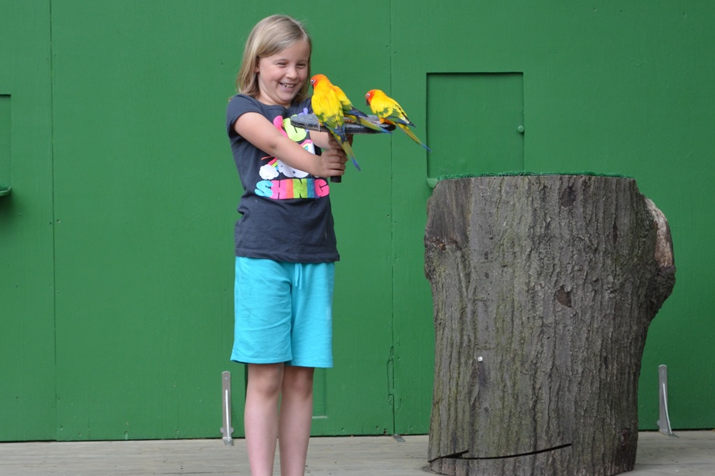 [DSC_0810%255B3%255D.jpg]