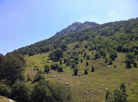 IMG_1527.JPG