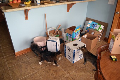 [kitchen%2520during%252008%255B3%255D.jpg]