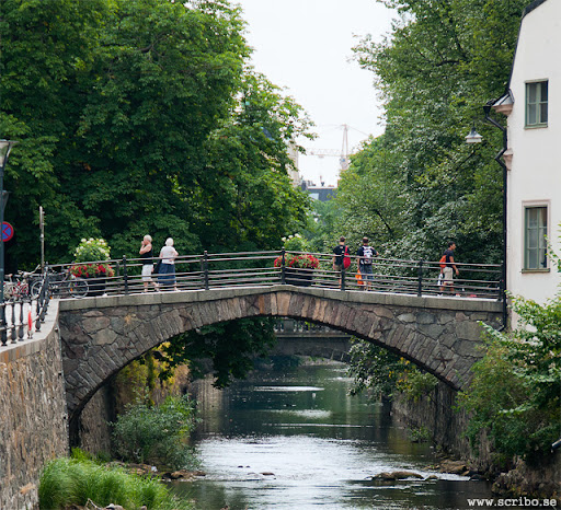 dombron_uppsala_1.jpg