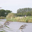 Noorderrit 2011