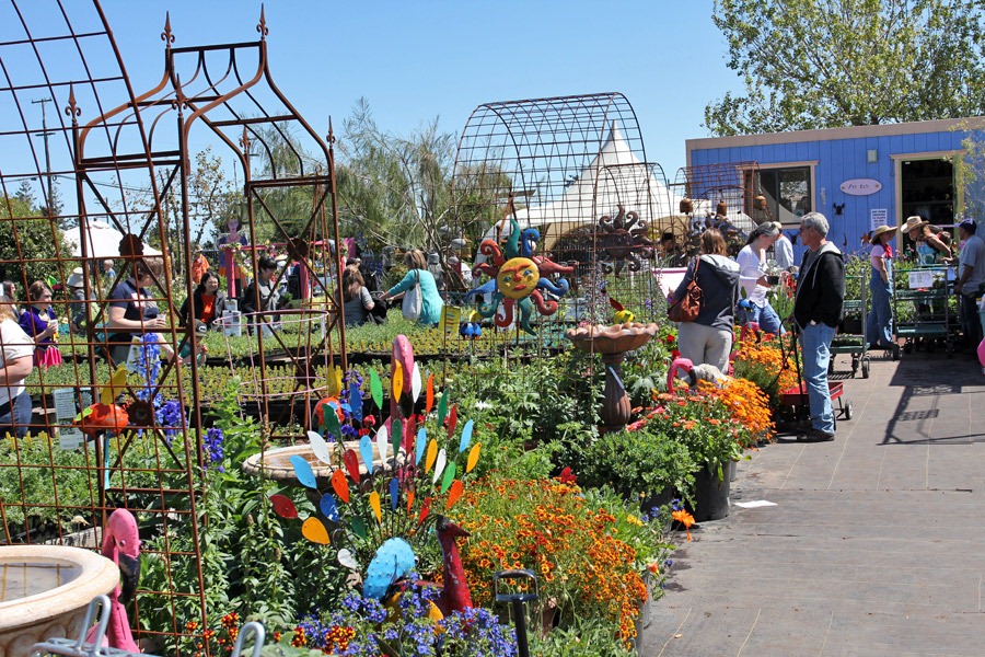 [120414_AnniesAnnuals_33%255B2%255D.jpg]