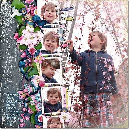 Blossom Blossom