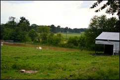 july flood pasture