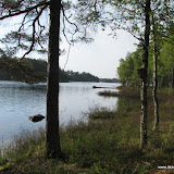 IMG_6540.JPG