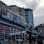 DSC_1224.JPG