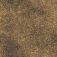 392529743 392529743