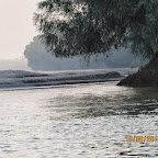 IMG_6461.JPG