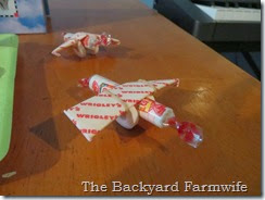 airplane snacks - The Backyard Farmwife