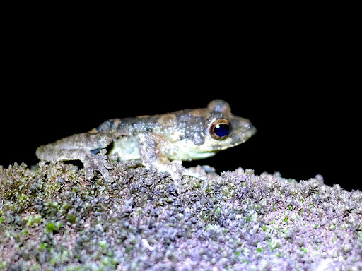 P1030658
