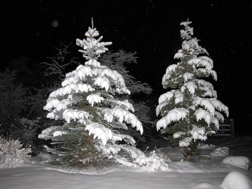 [Nov%2520snowfall2%252009%255B2%255D.jpg]