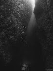 West Hurker: a diver swims along the bottom of the gully at the start of the dive