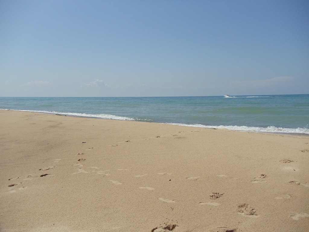 [DSC007834.jpg]