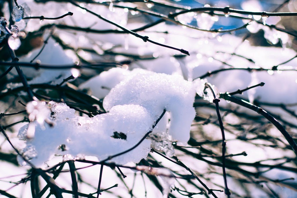 [IMG_7114-2%255B4%255D.jpg]