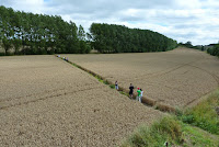 Walking through a field