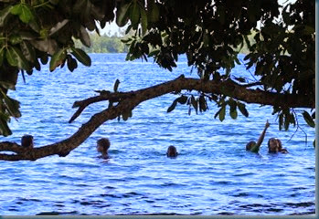 Kids, Edi, Brennen swimming Kids, Edi, Brennen swimming