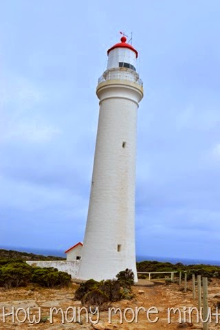 [DSC_00803.jpg]