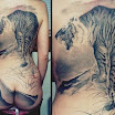 Tiger #1