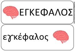 σωμα3 σωμα3