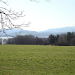 DSC00319.JPG