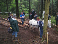 IMG_4016.JPG