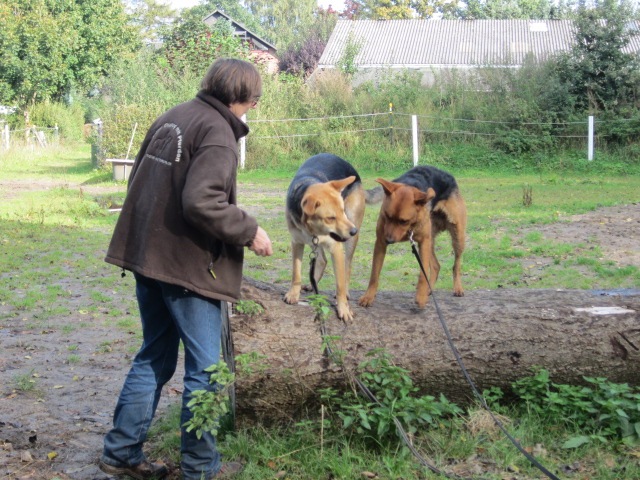 [IMG_0920%255B3%255D.jpg]