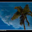 alicea_071123_9766.jpg