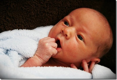 Little Man 2