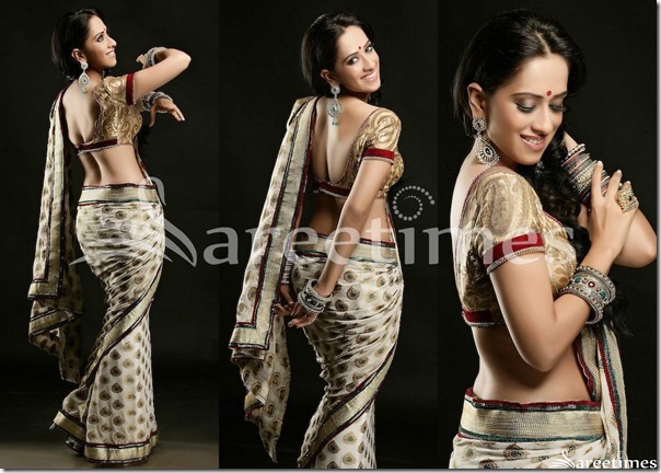Monali_Sehgal_Hot_Saree Monali_Sehgal_Hot_Saree