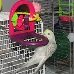 Mya Feb 8-12.JPG