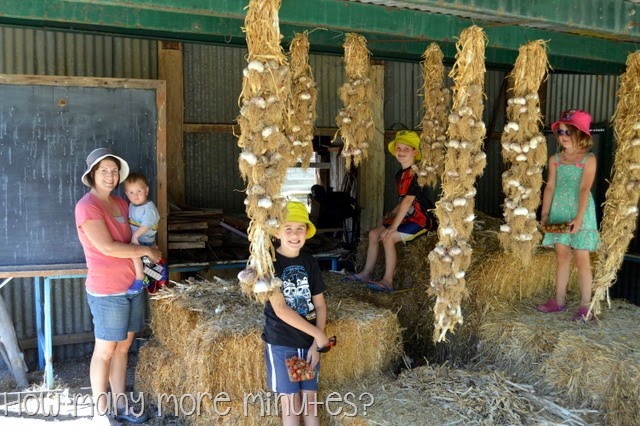 [DSC_0756%255B2%255D.jpg]