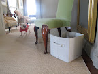 A Surprise In Our Toybox!