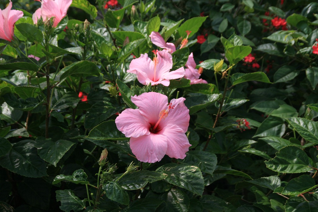 [IMG_8322%255B4%255D.jpg]